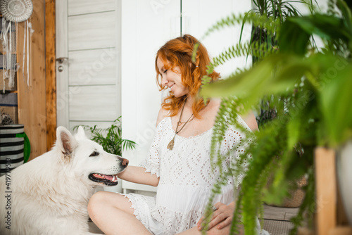 Fototapeta Naklejka Na Ścianę i Meble -  Young pregnant woman with red hair sits in meditation pose with dog with white fur, pet in boho interior. The concept of caring for animals, a healthy lifestyle without allergy to wool