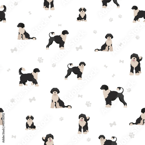 Portuguese seamless pattern. Different poses, coat colors set. photo