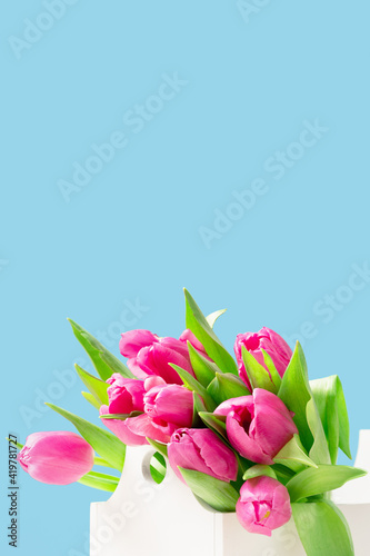 Fototapeta Naklejka Na Ścianę i Meble -  Bunch of pink tulips in white flower box on blue background. copy space, Birthday gift. Valentines 8 March Women's or Mothers Day celebration greeting card or web floral banner. Sunny spring