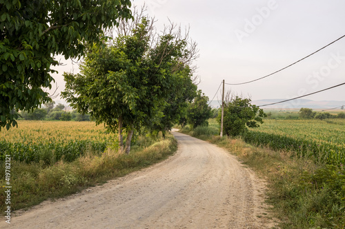 Rural Mureș County photo