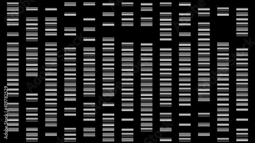 Konstfotografi DNA barcodes