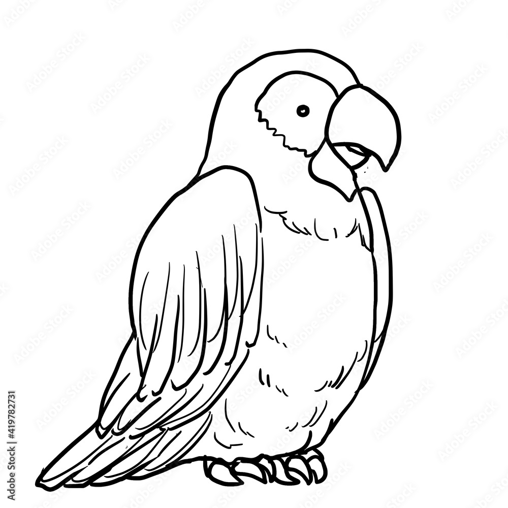 Fototapeta premium Simple parrot line art illustration
