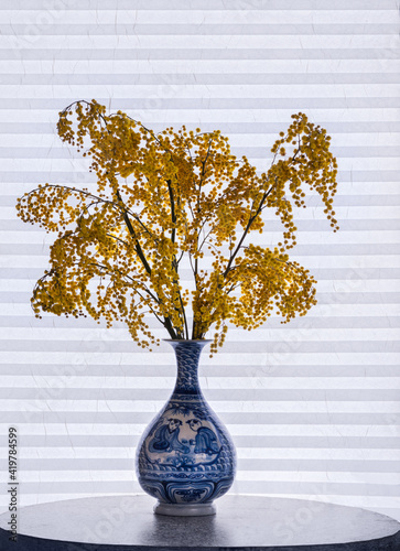 Still life of sprigs of mimosa in a Chinese porcelain vase stands on a round table against the background of a curtained window photo