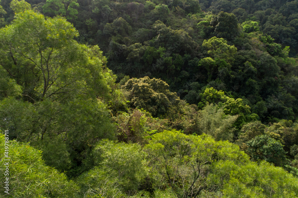 Aerial view of tropical forest in spring Aerial view of tropical forest in spring