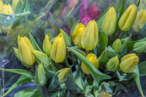 Colorful bouquets of tulips in a package  ready for sale. Spring flowers. Close up.