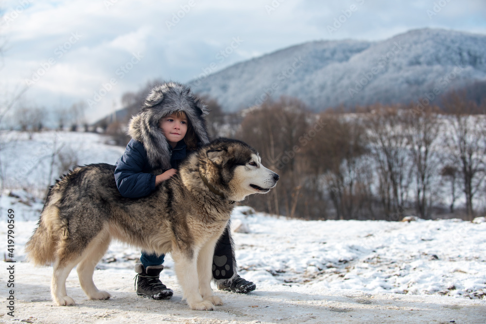 Little boy with husky dog in the snow forest. Alaskan or canada snow landscape. Winter kids. Theme Christmas holidays winter new year. Little boy with husky dog in the snow forest. Alaskan or canada snow landscape. Winter kids. Theme Christmas holidays winter new year.