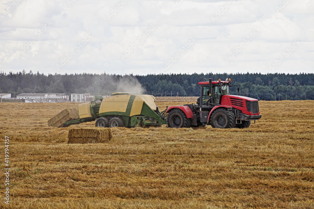 Fototapeta premium Modern red wheeled tractor with trailer picks up hay and presses hay into rectangular bricks on a yellow harvested field on an autumn day, agricultural machinery in farming, industrial rural landscape