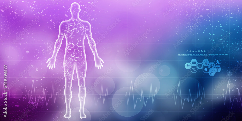 2d illustration Human Male Muscle Body 2d illustration Human Male Muscle Body