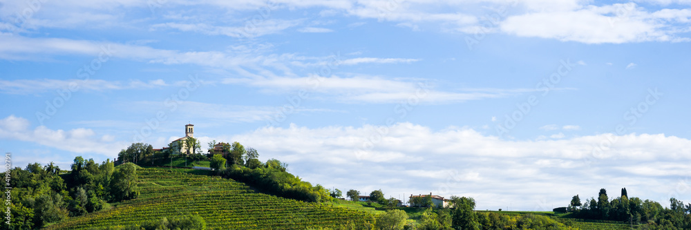 banner, hilly landscape with vineyard and blue sky banner, hilly landscape with vineyard and blue sky