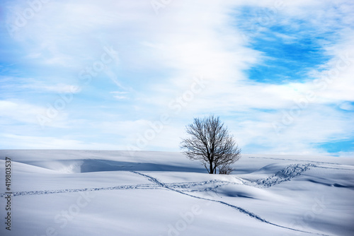 Snowy landscape with a lonely bare tree on blue sky with clouds. Lessinia Plateau (Altopiano della Lessinia), Regional Natural Park, Verona Province, Veneto, Italy, Europe. © Alberto Masnovo