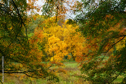 Bunter Herbstwald, Nordrhein-Westfalen, Deutschland, Europa