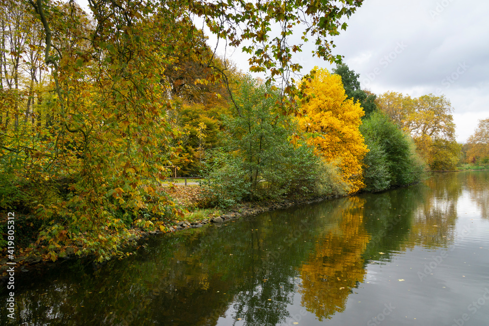 Herbstwald am See, Nordrhein-Westfalen, Deutschland, Europa