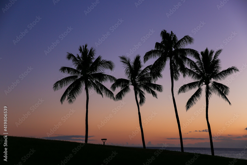 sunset, palm trees silhouette beautiful sky, Kakaako Waterfront Park, Honolulu, Oahu, Hawaii