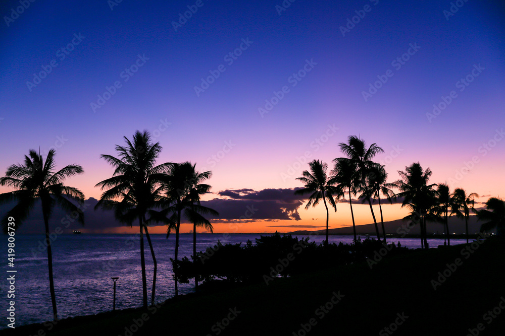 sunset, palm trees silhouette beautiful sky, Kakaako Waterfront Park, Honolulu, Oahu, Hawaii