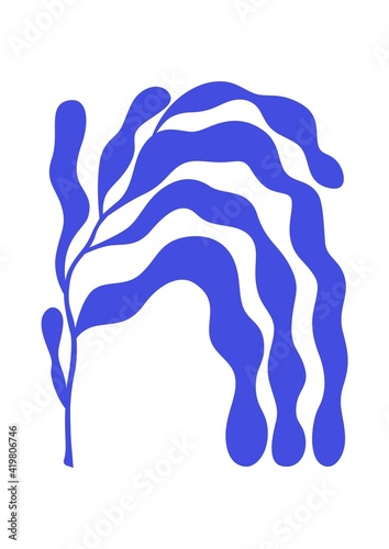 Fototapeta Contemporary Matisse-inspired botanical poster with branch of algae with long blue leaves