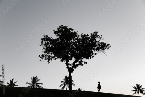 Girl  on the hill, trees silhouette , Kakaako Waterfront Park, Honolulu, Oahu, Hawaii © youli
