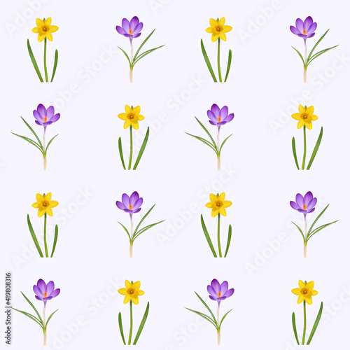 Floral pattern with spring flower of whitewell purple crocus and yellow daffodils photo