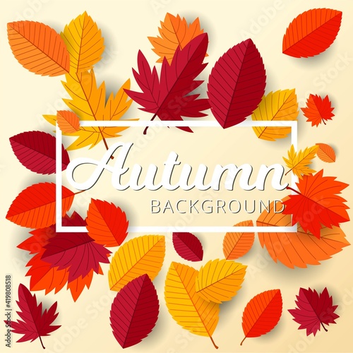 Autumn frame with flat leaves design background