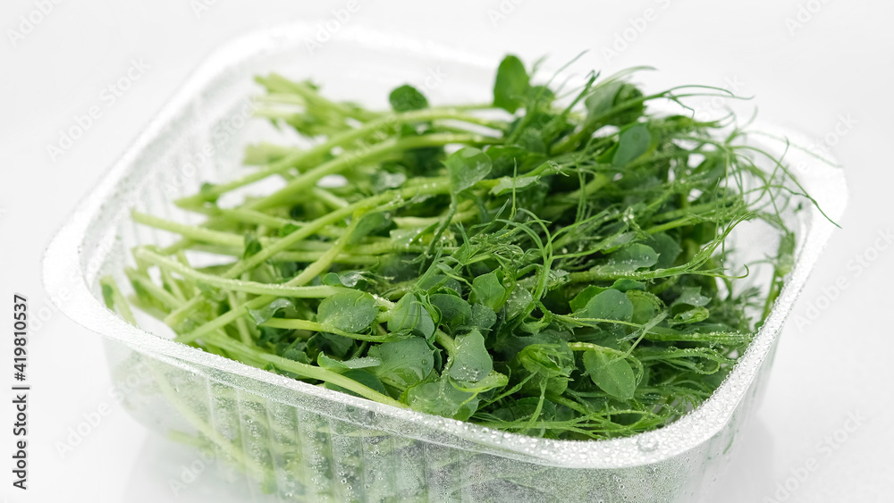 fresh peas micro greens in container for delivery or sale on white background fresh peas micro greens in container for delivery or sale on white background