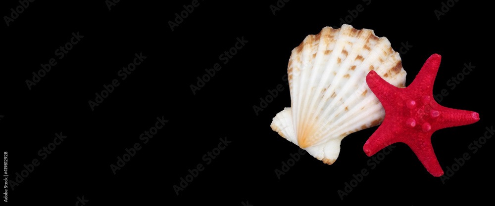 Obraz premium seashell and starfish isolated on black background