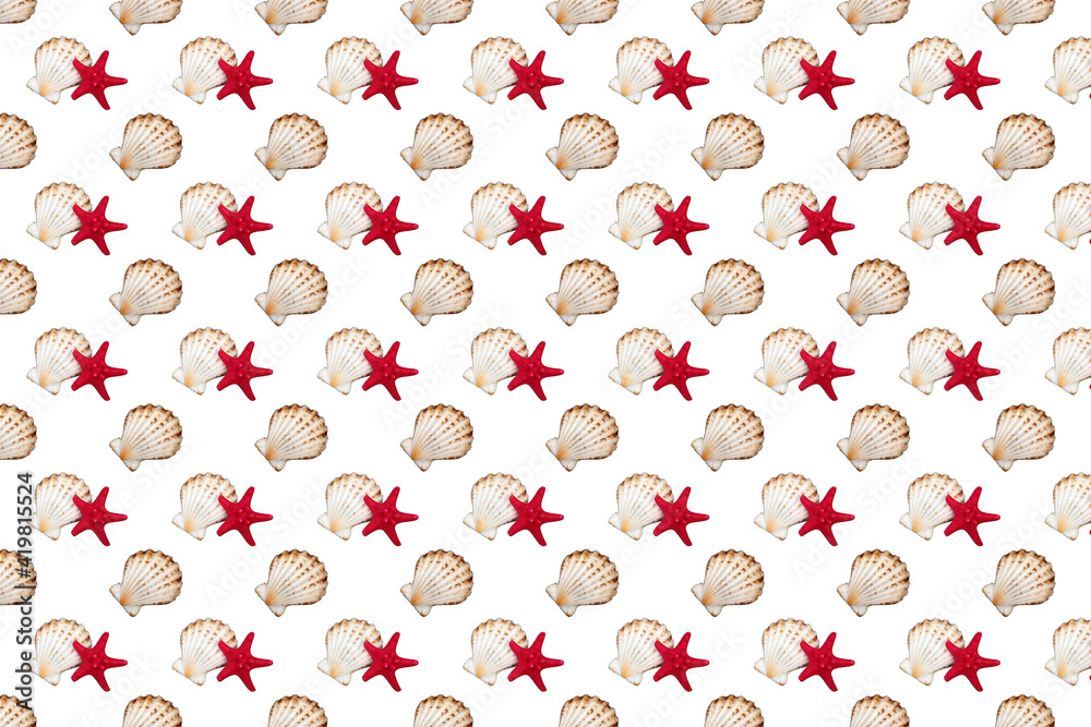seashells and starfish isolated on white background seashells and starfish isolated on white background
