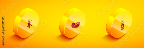 Set Isometric Lizard, Beans and Tabasco sauce icon. Vector.