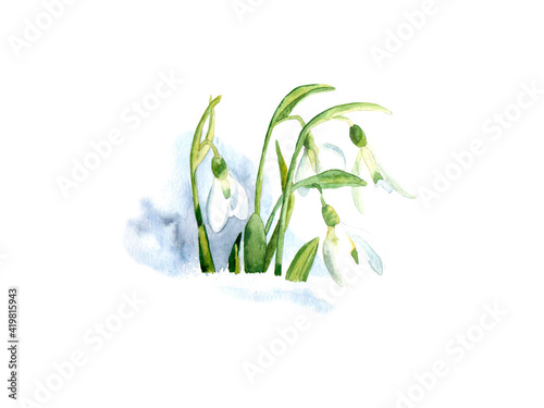 Wallpaper Mural Watercolour drawing. Torontodigital.ca