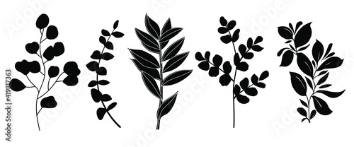 Set of leaves silhouette of beautiful plants №5, leaves, plant design. Vector illustration .