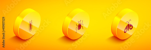 Set Isometric Centipede, Beetle bug and Butterfly icon. Vector.