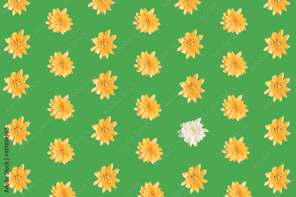 Pattern of spring pastel orange and white  flowers on green background. Minimal flatlay composition