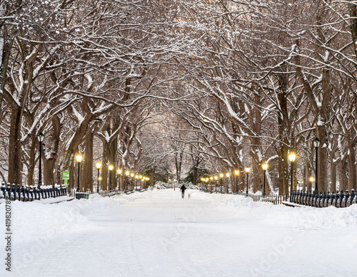 Central Park the Mall