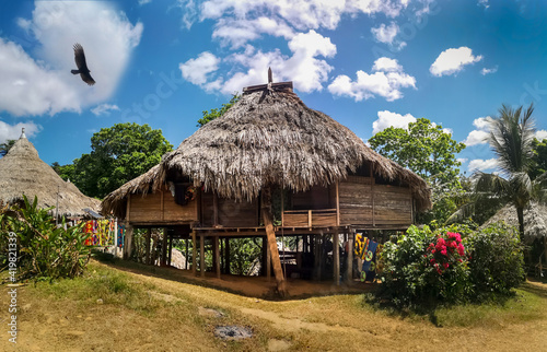 Traditional house of Embera tribe in Panama with Eagle flying above the house. Blue sky with white clouds above, and green garden flowers in front of the house