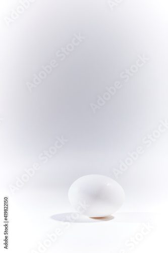 white egg on white © AlexanderBee 
