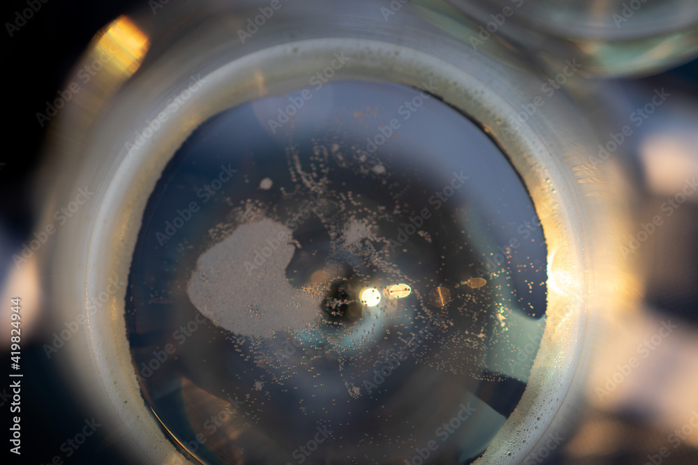 Abstract Picture of White Wine Bubbles in the Glass Abstract Picture of White Wine Bubbles in the Glass