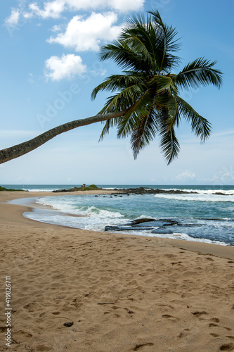 Fototapeta Naklejka Na Ścianę i Meble -  A palm tree hangs over a sandy beach in the Tangalla region of southern Sri Lanka.