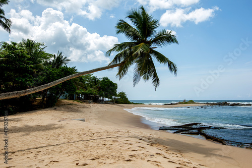 A palm tree hangs over a sandy beach in the Tangalla region of southern Sri Lanka.