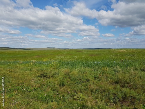 Green field under the blue sky