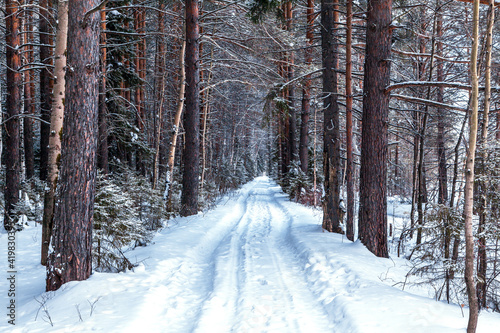 Winter road going deep into the forest.
