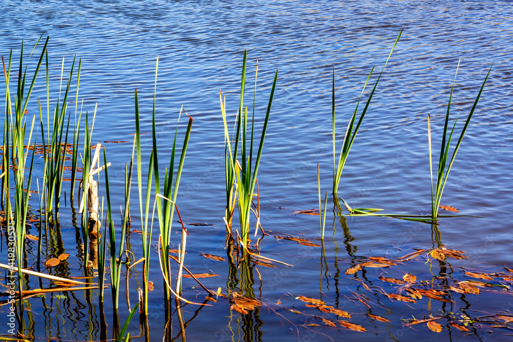 Wiosna na Podlasiu, Polska