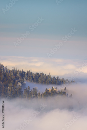 Mglista panorama z Czarnej Góry