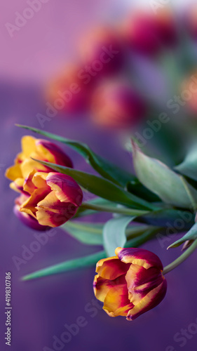 Spring floral violet backgr...