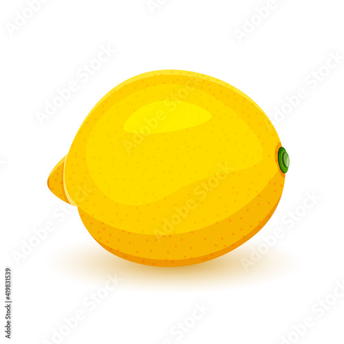lemon yellow isolated on white background. Wind illustration of juicy ripe uncut lemon. Vector illustration