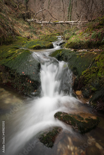 Small river in a humid forest. Zirauntza river. Spain © Josema Dieguez