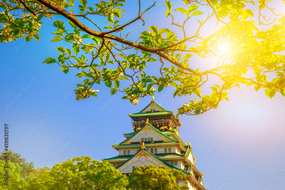 Closeup of branch with white cherry blossoms in the spring and sun rays. Osaka Castle on blurred background. Osaka Castle is one of the most famous landmarks of Japan and Osaka. Closeup of branch with white cherry blossoms in the spring and sun rays. Osaka Castle on blurred background. Osaka Castle is one of the most famous landmarks of Japan and Osaka.