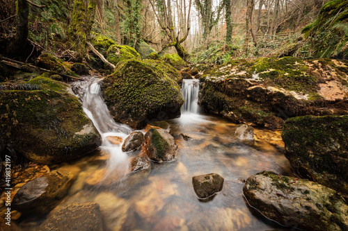Small river in a humid forest.
Zirauntza river. Spain