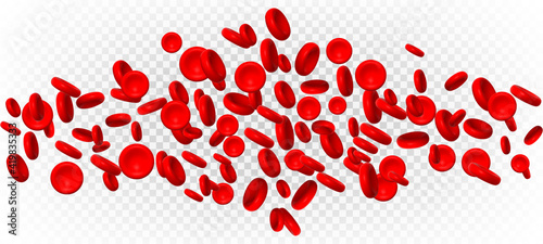 Red blood cells or erythrocytes. Vector illustration isolated on transparent background