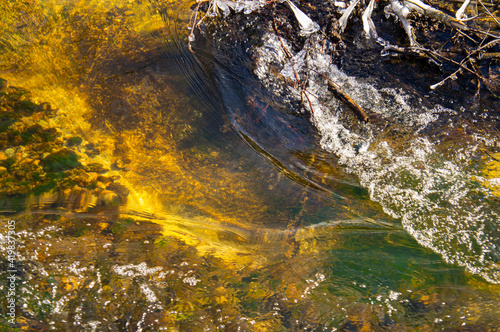 Forest river flow with clear water and bottom