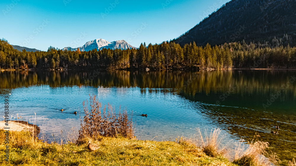 Beautiful alpine autumn or indian summer landscape shot with reflections at the famous Hintersee, Ramsau, Berchtesgaden, Bavaria, Germany