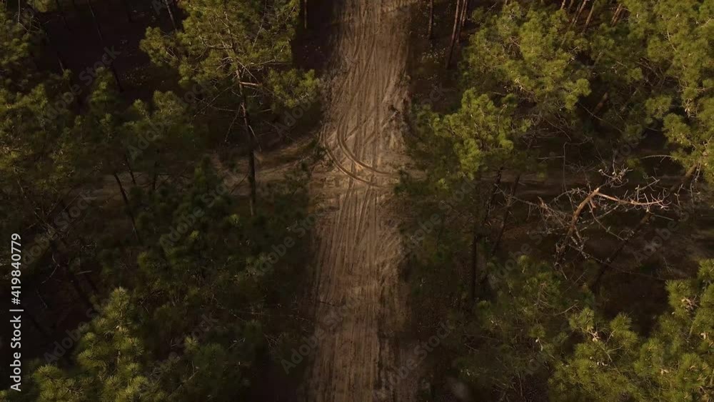 4K aerial view of a dirty road in the middle of a pine forest, drone backing  over the top of the trees, 60fps.
