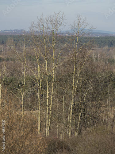 Fototapeta Naklejka Na Ścianę i Meble -  OLYMPUS DIGITAL CAMERA